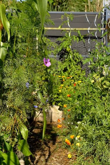 Petit jardin