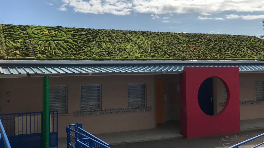 Greenskin permet de végétaliser et d’isoler les bâtiments