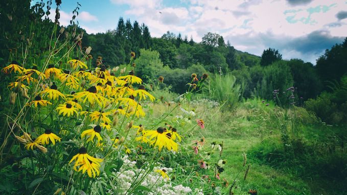 Jardin des Gueux