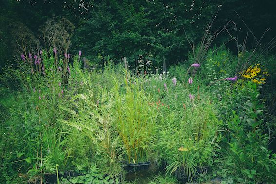 Jardin des Gueux