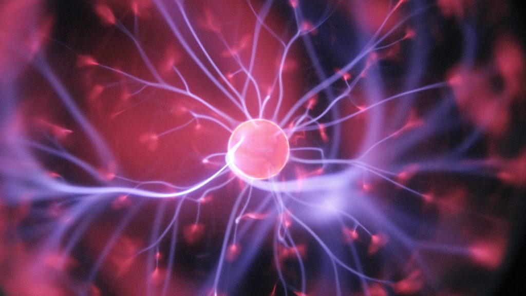 Santé : Lille accueille la 5ᵉ édition de la Semaine de la Mémoire