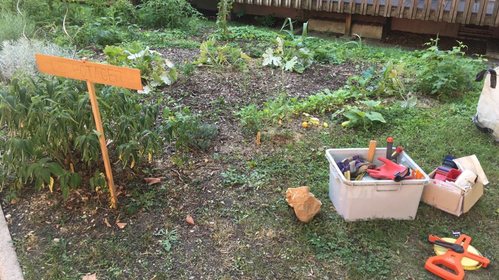 Cette société installe des potagers dans les Ehpad pour créer du lien