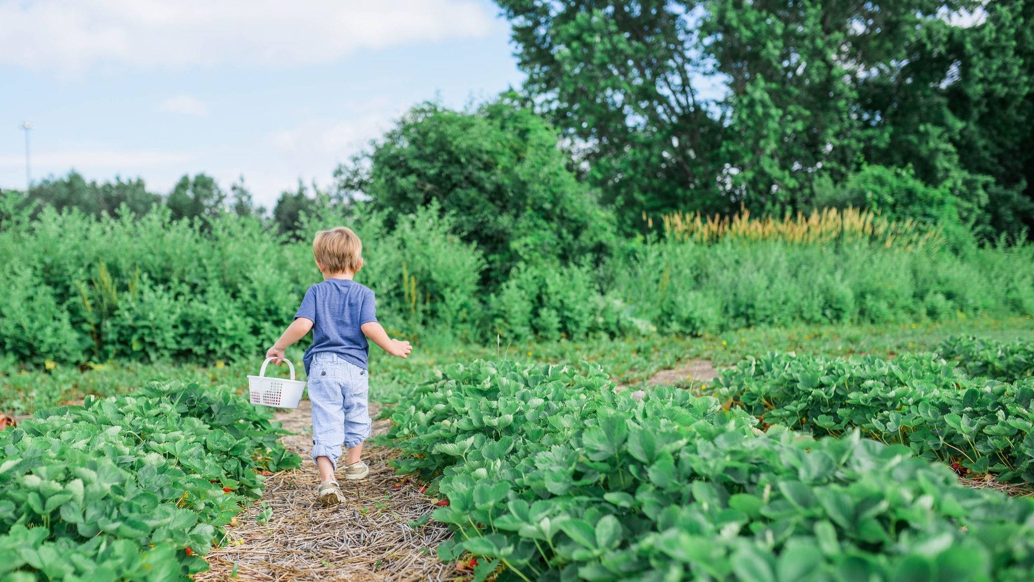 un enfant avec un panier dans un champ