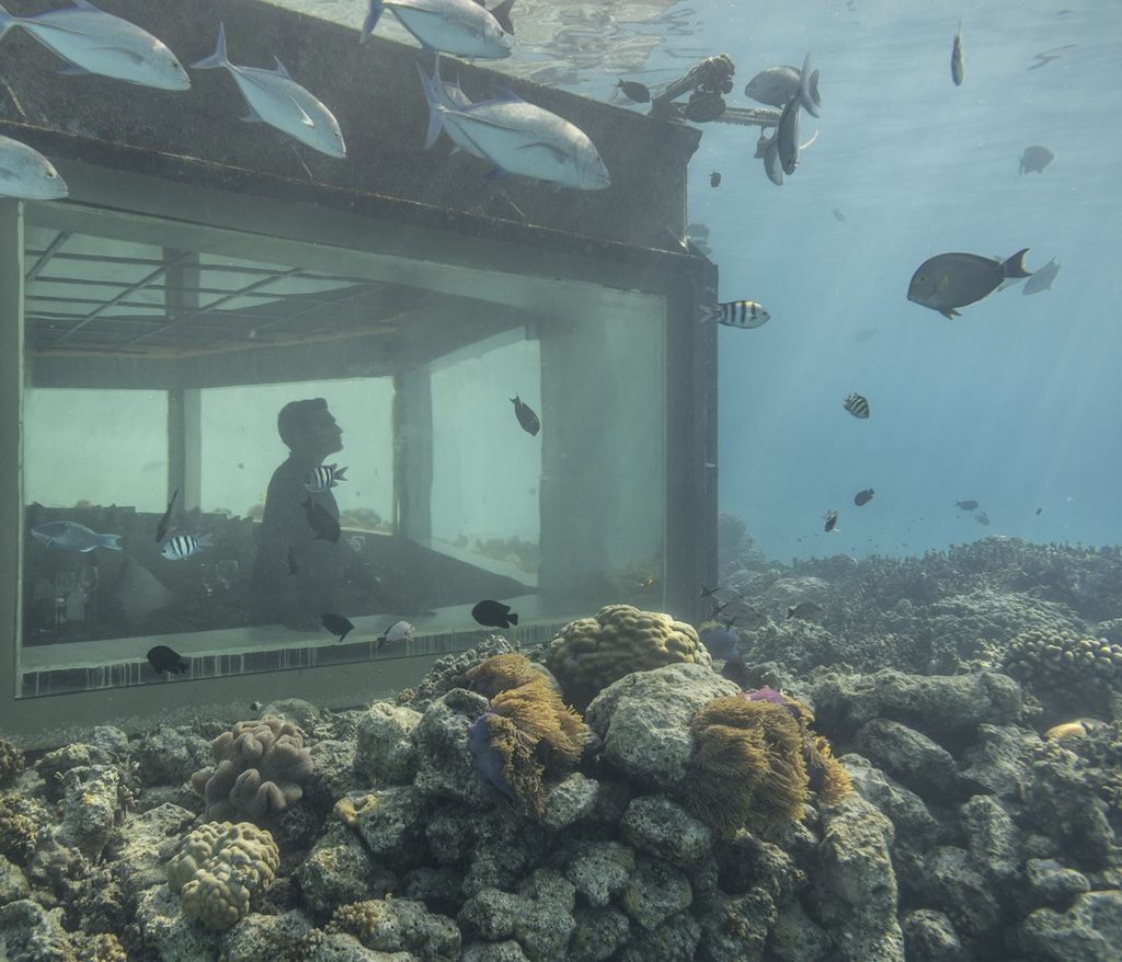 Pour 250 euros, les touristes peuvent dîner pieds nus au 
millieu de la barrière de corail, entourés de raies mantas et 
de requins. Hôtels et restaurants sous l’eau se multiplient. Ils 
détruisent l’habitat de la faune sous-marine, qui est perturbée 
par leurs lumières artificielles.