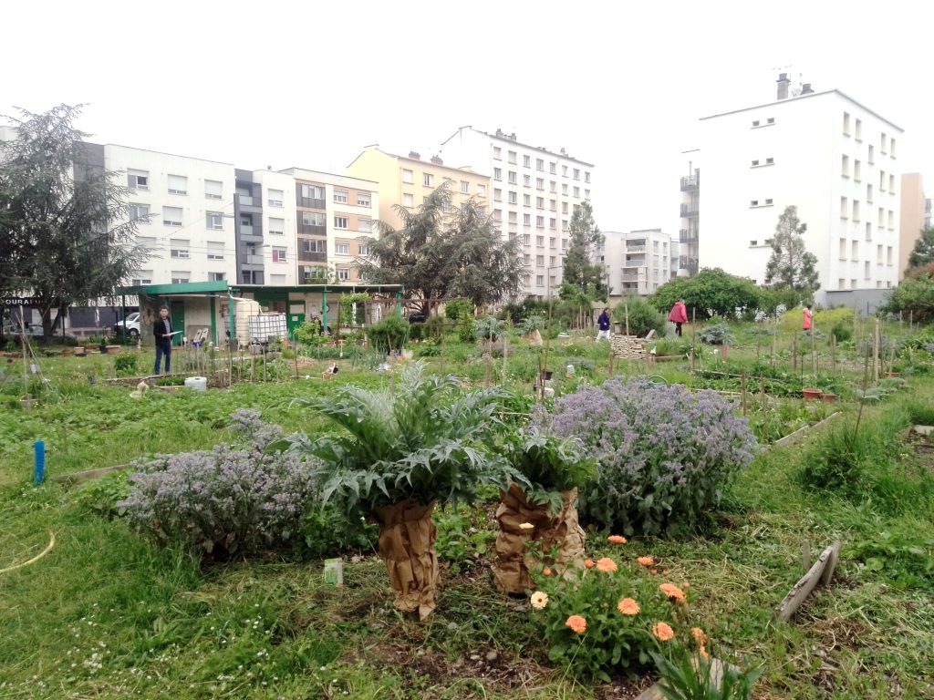 Lyon : Le Passe-Jardins œuvre pour une ville jardinée et solidaire