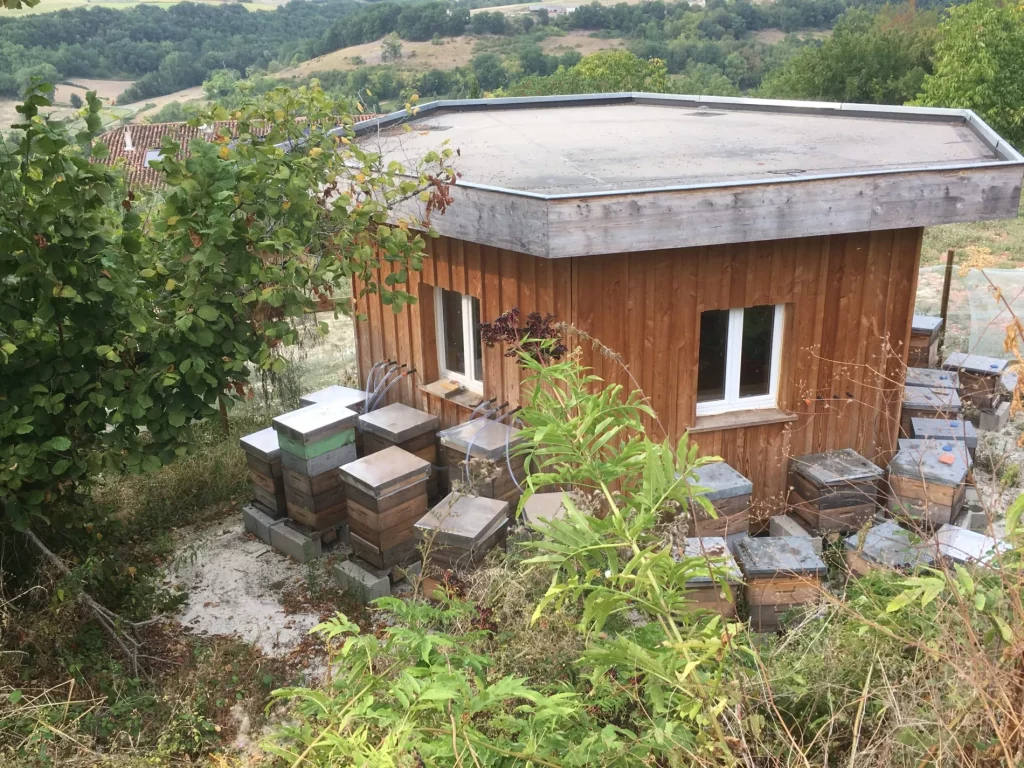 Petite maison pour respirer l'air des ruches