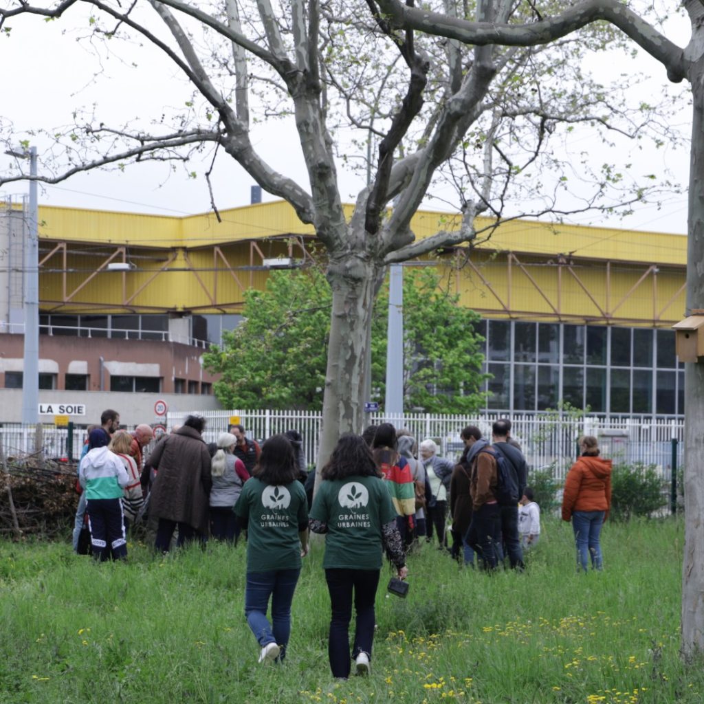 Lyon : Graines Urbaines reconnecte les urbains à la nature en ville