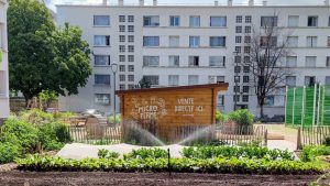 Lyon : Une ferme dans la ville pour sensibiliser au monde agricole