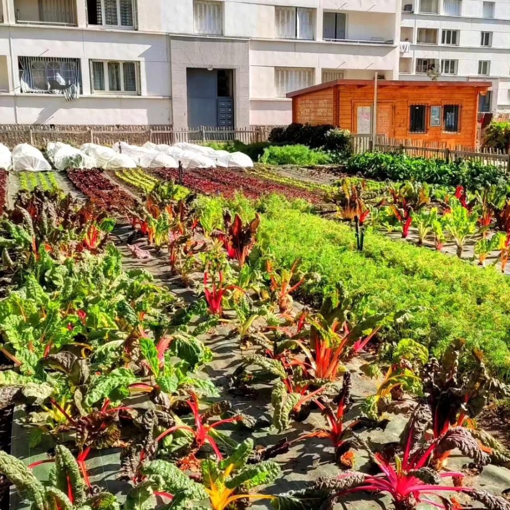 Lyon : Une ferme dans la ville pour sensibiliser au monde agricole