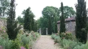 Les framboises, reines du château de Losmonerie en Haute-Vienne