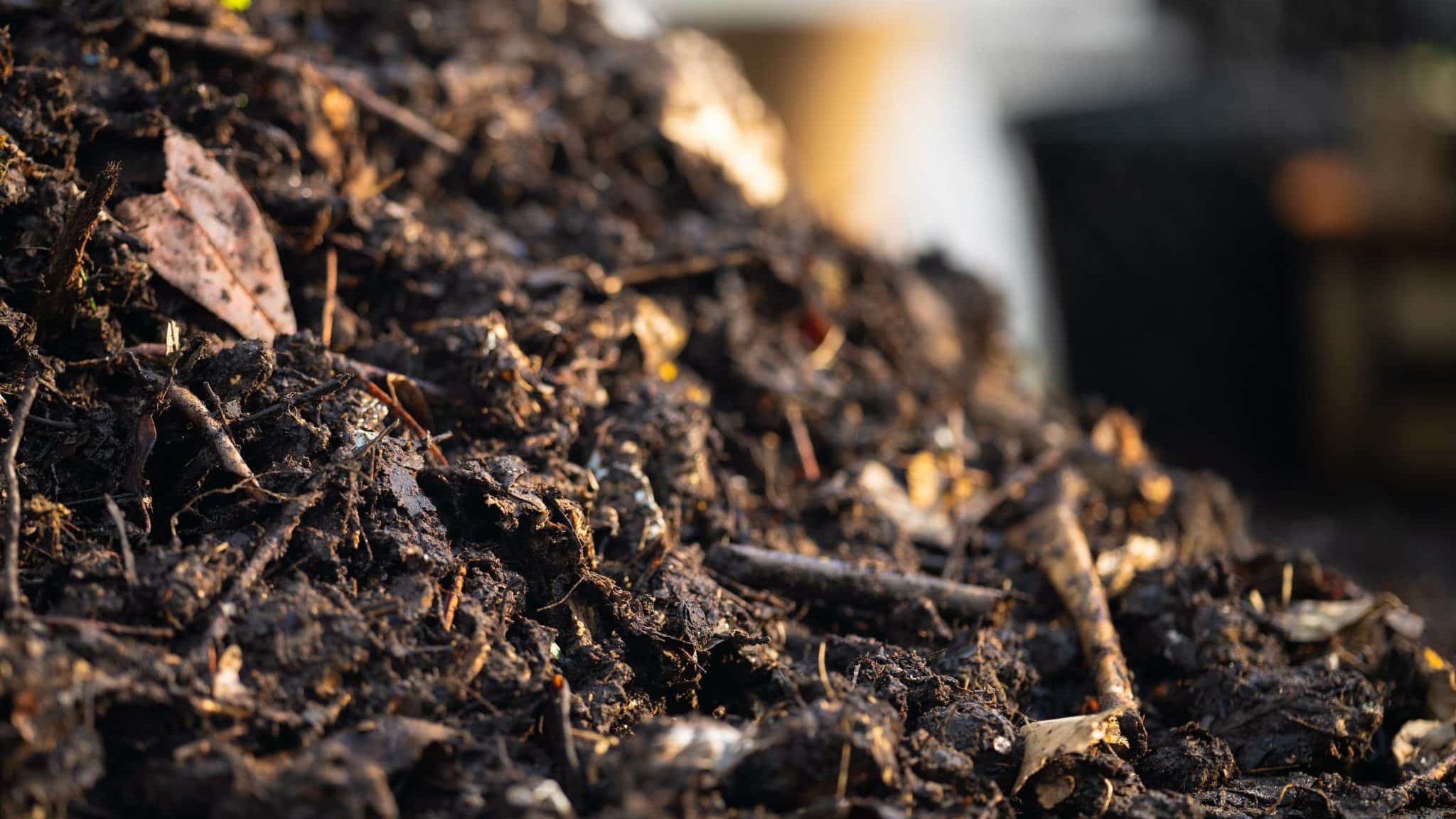 « Les chercheuses de l’invizible », l'aventure souterraine du compost