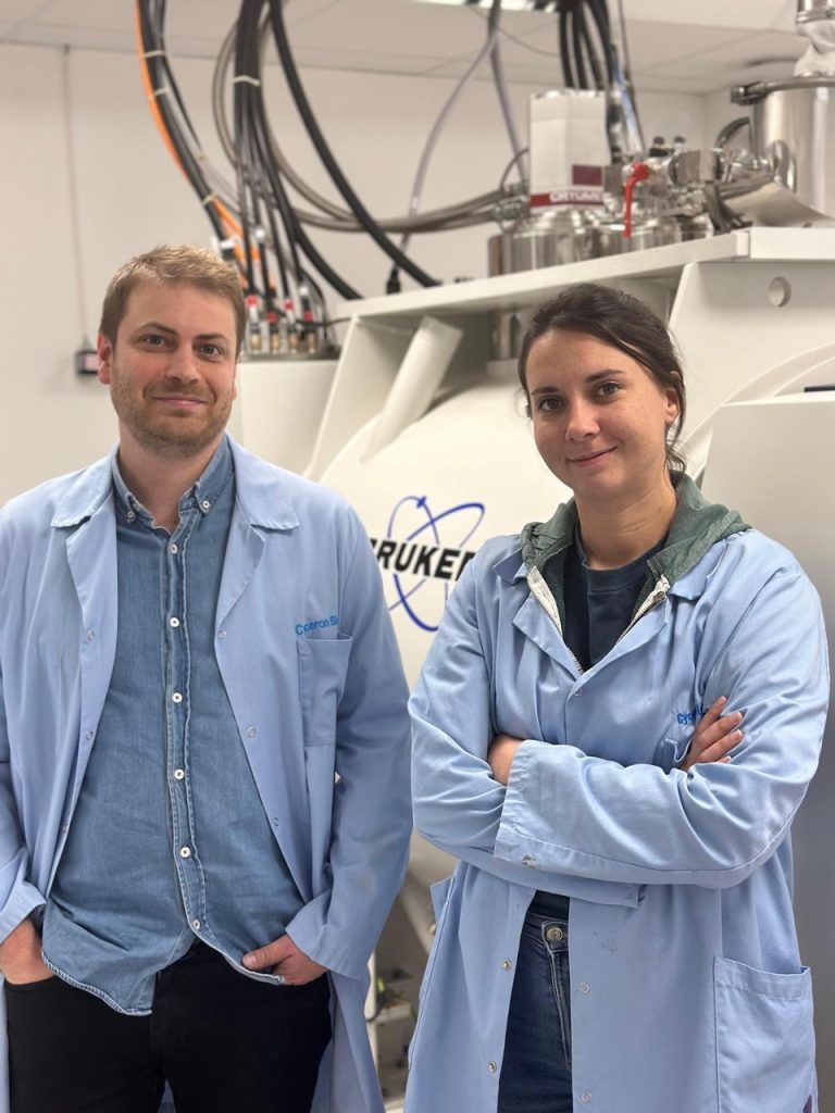 Santé : un biomatériau inspiré des moules permet un meilleur traitement des AVC