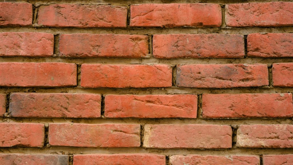 Marseille : ils transforment la terre de chantier en briques écolos