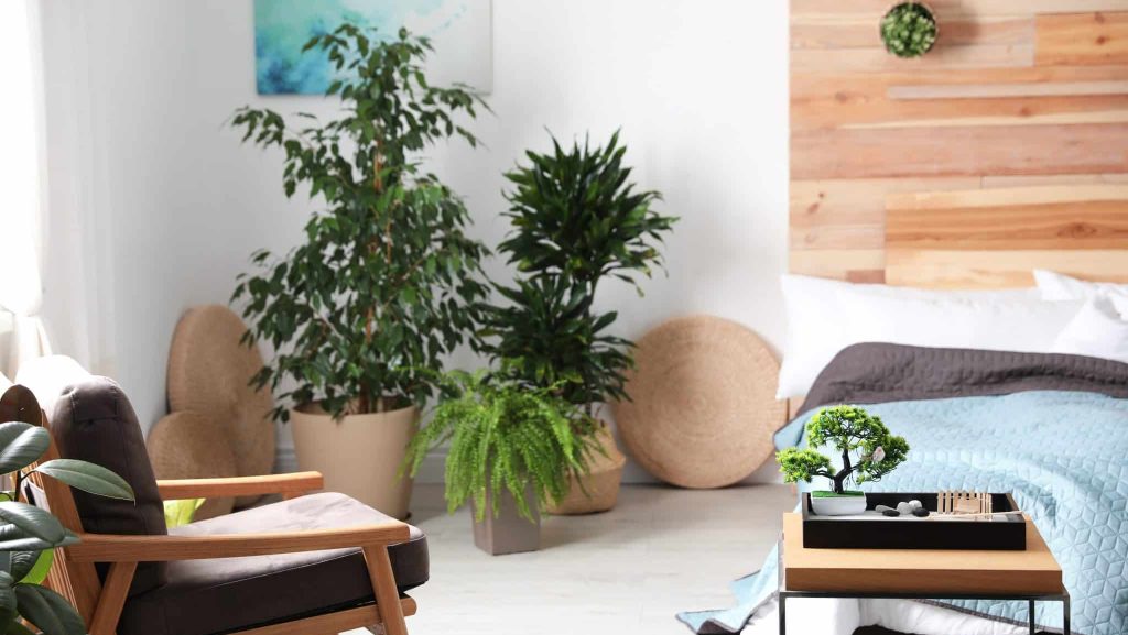 Le feng shui : harmoniser son intérieur pour une vie plus sereine