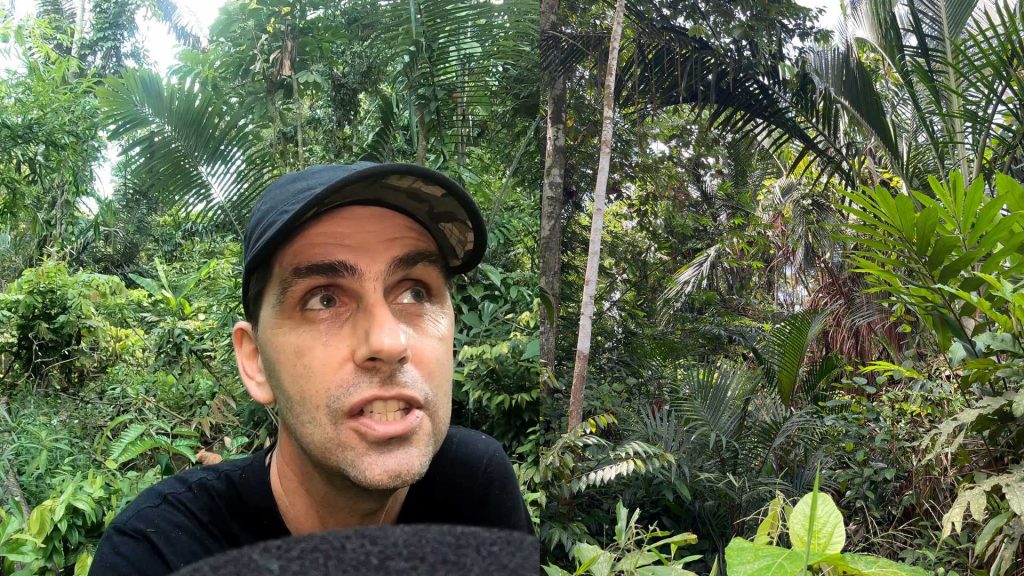 Dans la jungle indonésienne avec Chanee : à la découverte du sagoutier