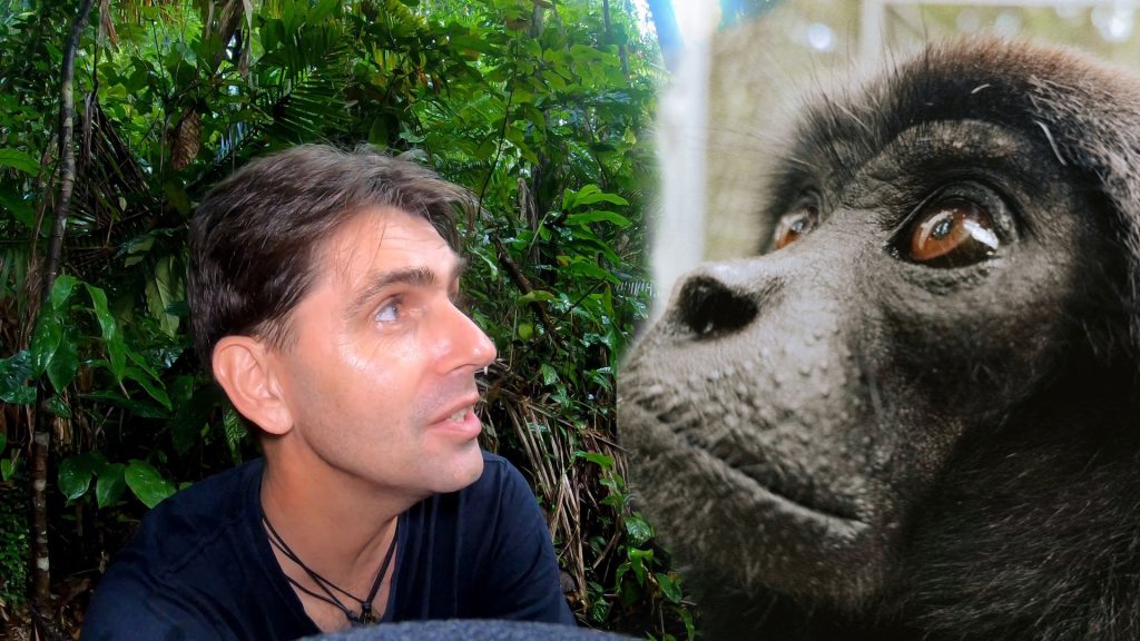 Dans la jungle indonésienne avec Chanee : rencontre avec le gibbon de Kloss