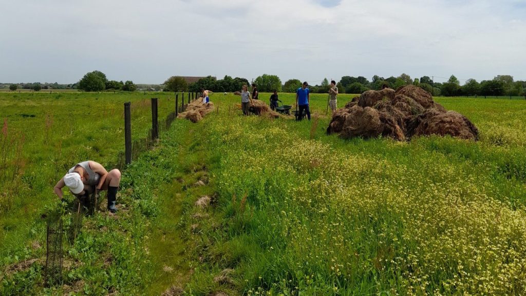 Pourquoi l’agroécologie est une solution pour demain ?