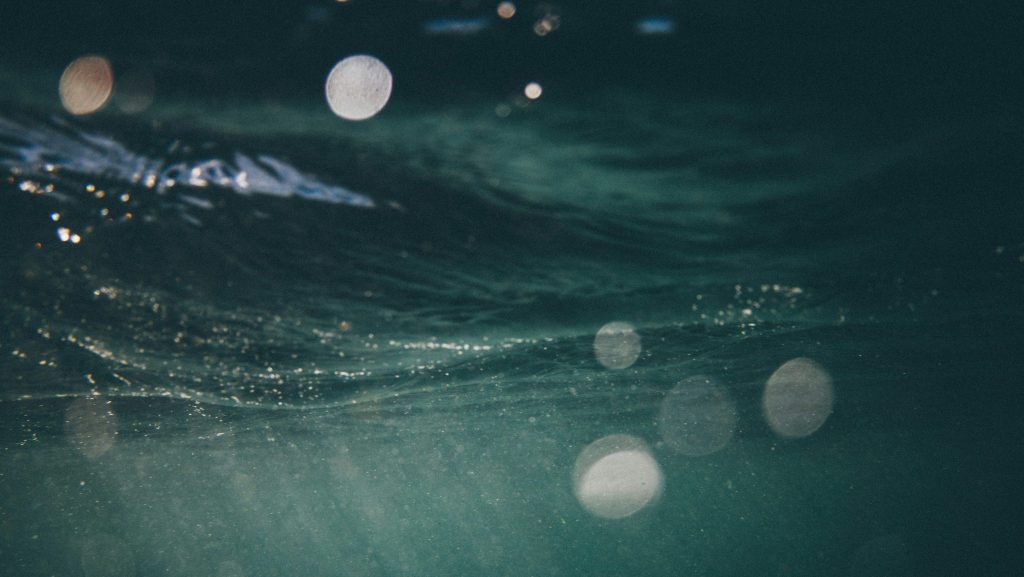 Livre : « Fascinantes créatures », une immersion dans les abysses