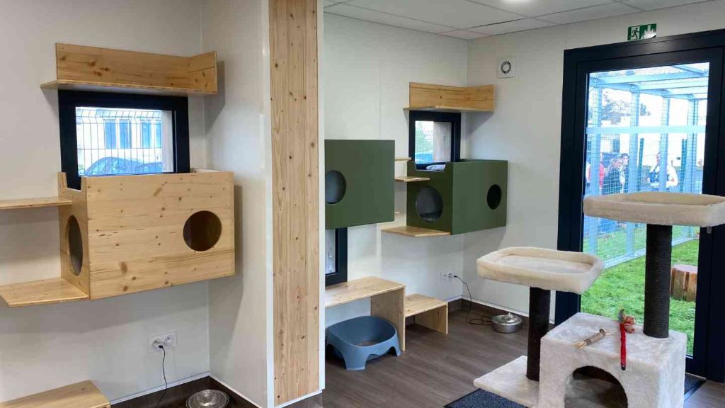 Gironde : des animaux de compagnie dans un EHPAD pour la santé des résidents 