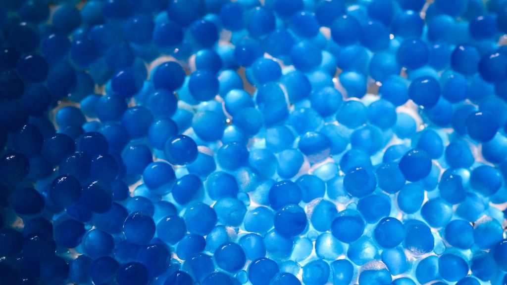 Avec sa technologie, Kapsera encourage une agriculture durable