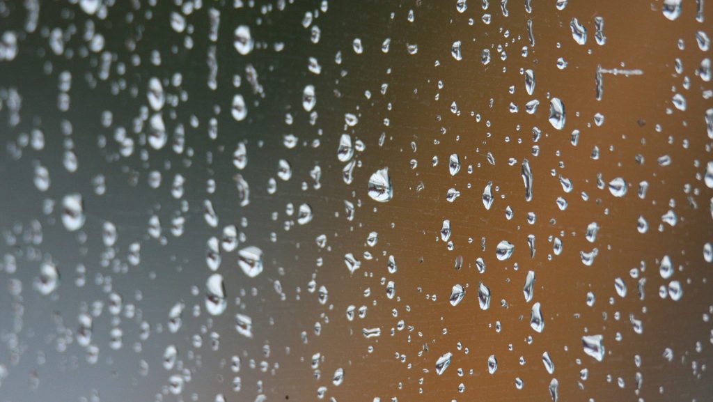 Cette association agit pour préserver l’eau de la planète