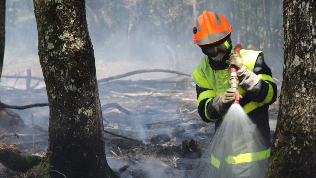 Pompiers, héros du quotidien : Les Belles Histoires de Preuilly-sur-Claise