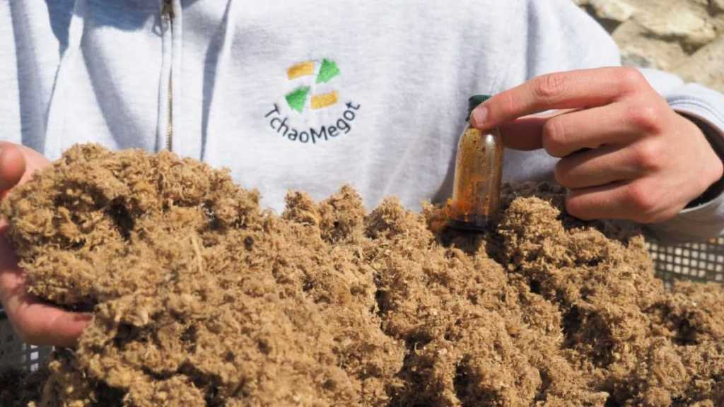 Tchao Megot transforme les mégots de cigarette en isolant thermique 