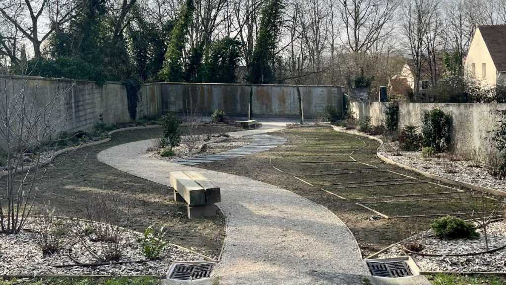 Les cimetières naturels, une solution pour la planète et le portefeuille