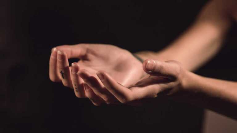 two human palms