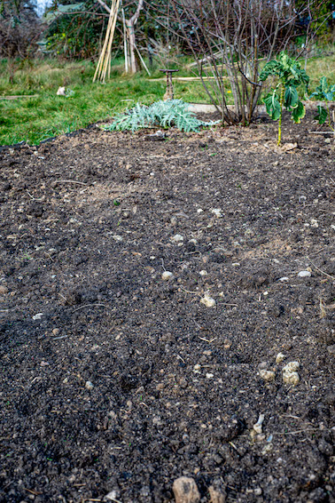Préparation de la terre avant le printemps