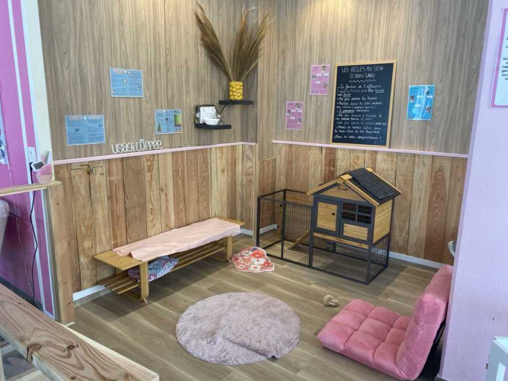 Usagi Coffee : Le premier café à Lapin de Bordeaux