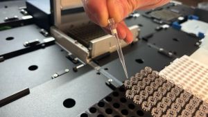 Don de selle : notre microbiote peut soigner des maladies chroniques 