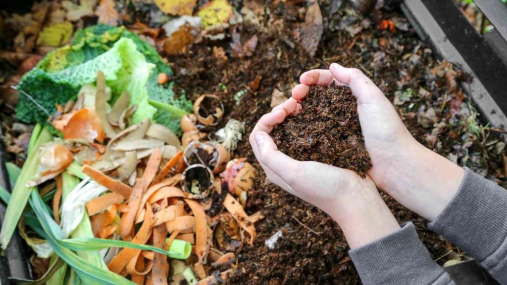 “Ensemble pour nourrir les sols” le thème de la 12ᵉ édition de Tous au Compost !