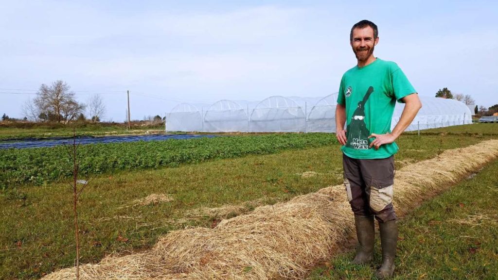 Gironde : Mathieu Lecoffre, un maraîcher bio qui soigne son sol