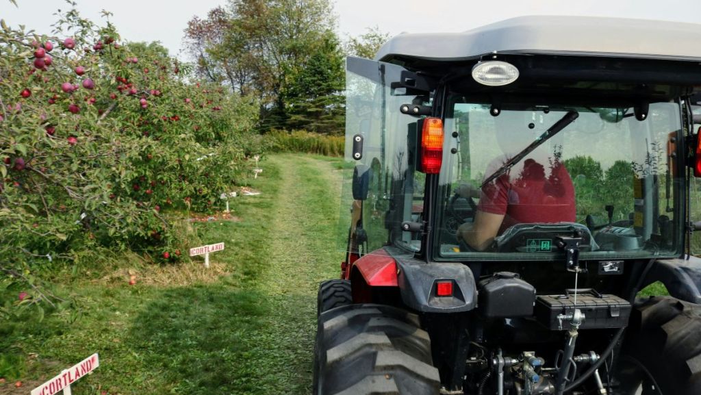 L’agroforesterie, pour une agriculture et des élevages plus durables