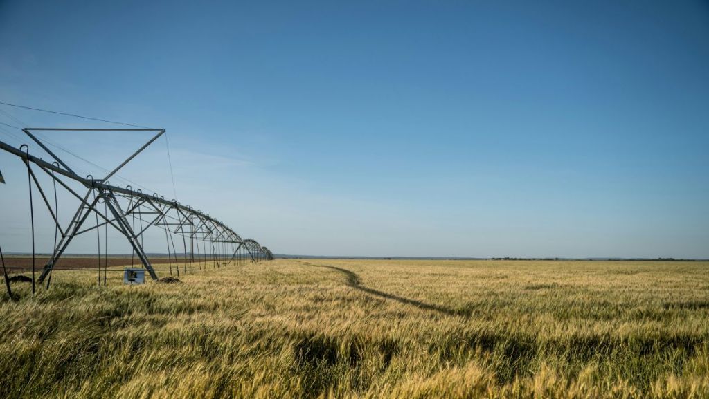 Weenat permet aux agriculteurs de mieux gérer l’irrigation