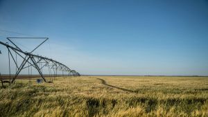 Weenat permet aux agriculteurs de mieux gérer leur irrigation