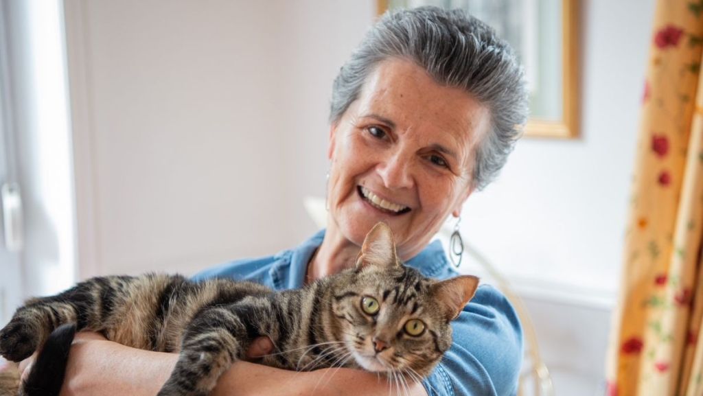 Toutes vos questions sur les chats rassemblées dans un livre