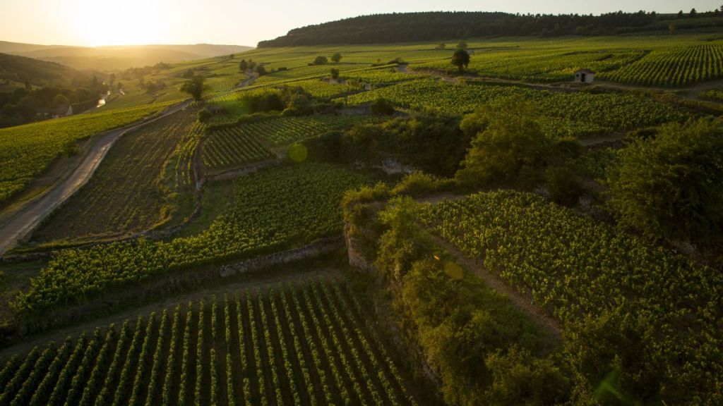 Les Climats du vignoble de Bourgogne célèbrent un événement important