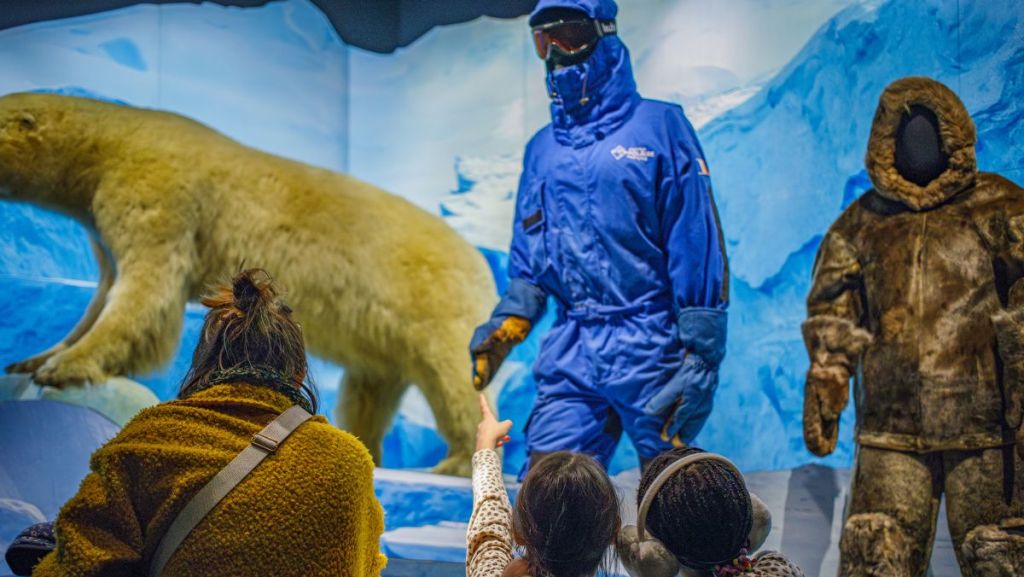 Lyon : l’exposition “Trop Forts !” révèle les capacités étonnantes des animaux