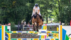 Le Repos des Hugogos, assure une retraite bien méritée aux chevaux âgés