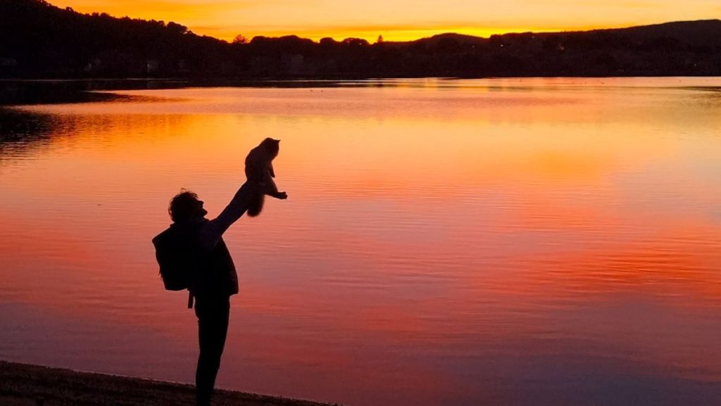 Mathieu partage sur les réseaux les aventures de son chat Rio au bout du monde