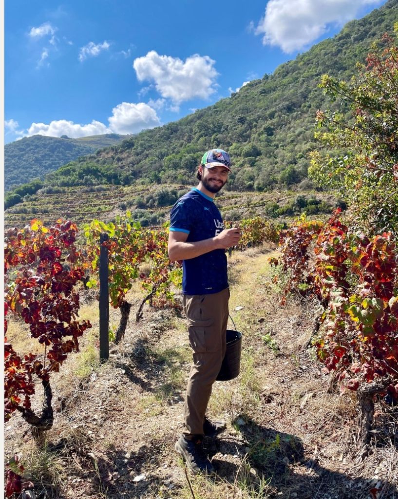 Reconversion : cadre commercial, Dimitri est devenu agriculteur