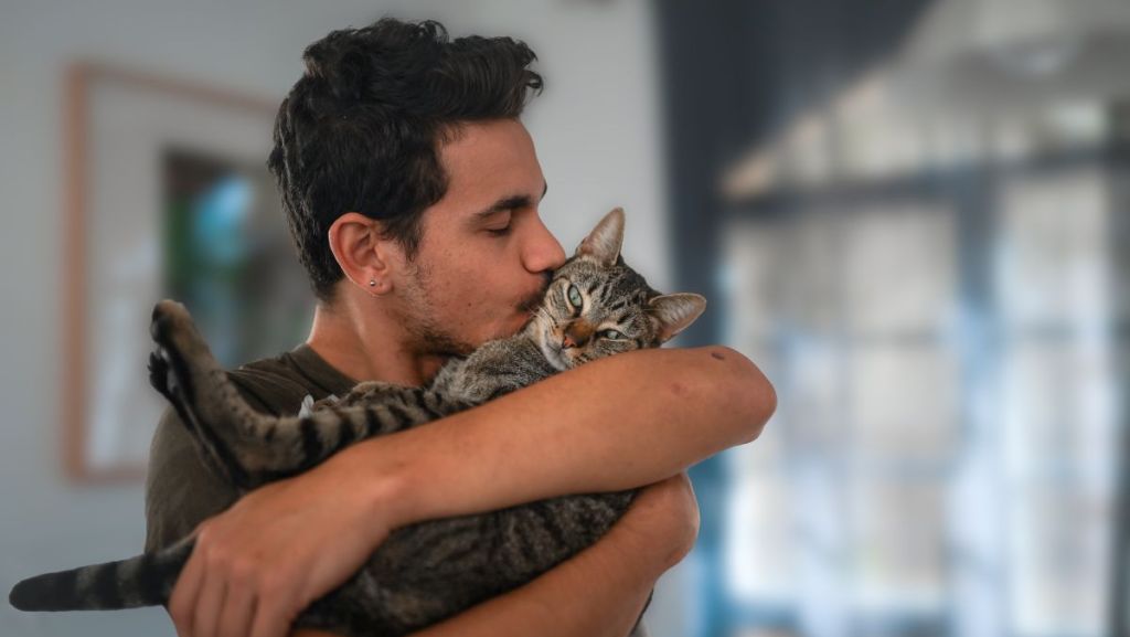 Ceva Santé Animale, le laboratoire au service du lien avec nos animaux 