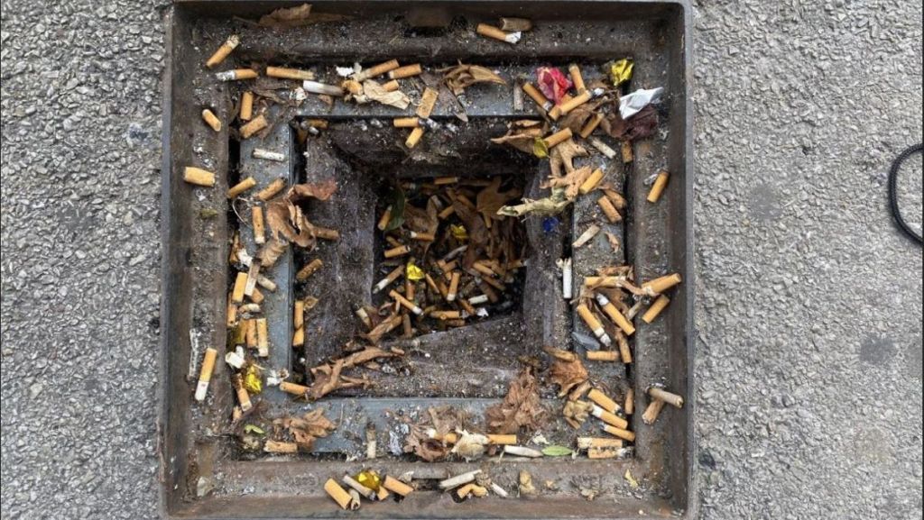 À Cherbourg-en-Cotentin, un filtre récupère les polluants grâce à des cheveux