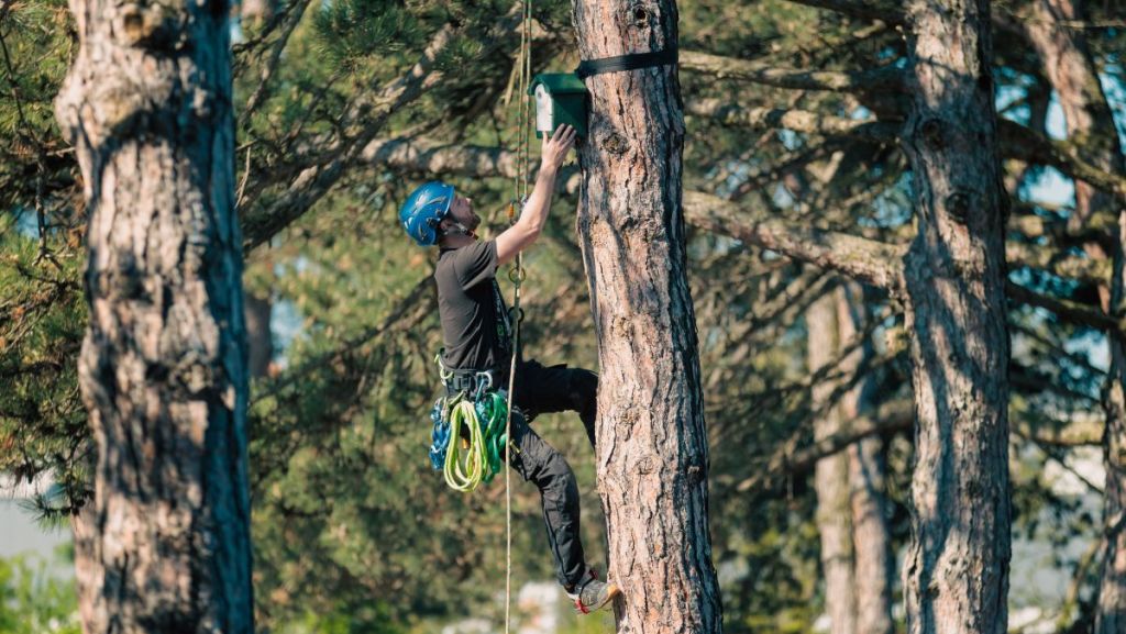 Rhône : des cimetières labellisés Refuge LPO pour préserver la biodiversité