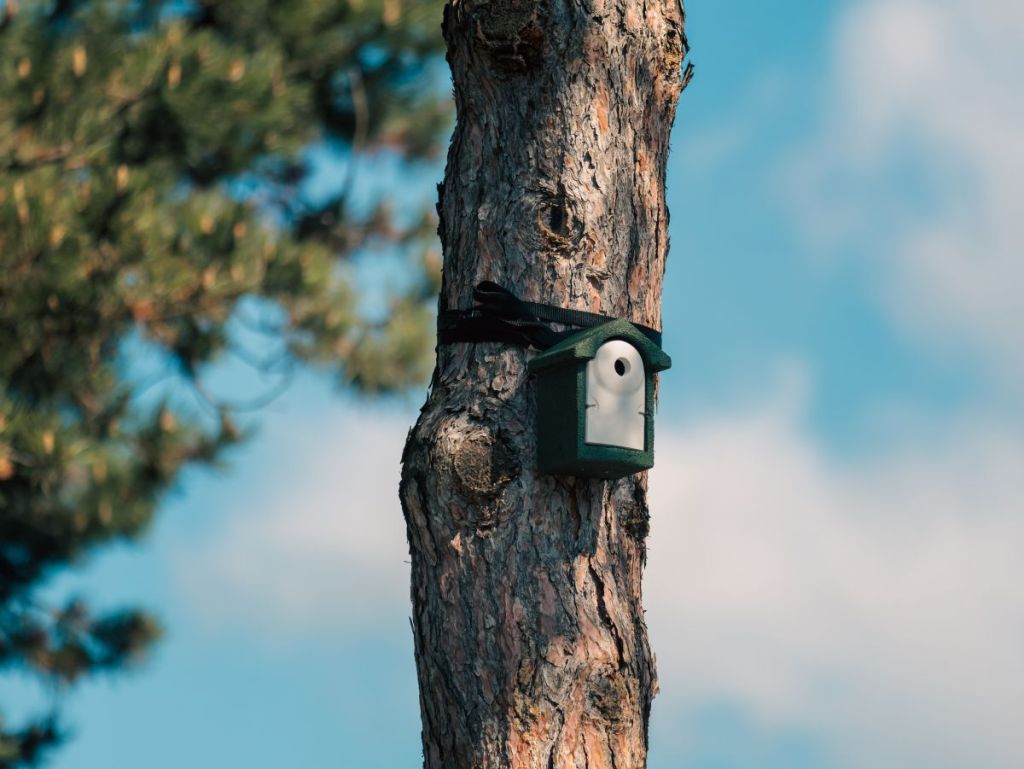 Des cimetières labellisés “Refuge LPO” pour préserver la biodiversité