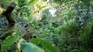 Le jardin des Barthes