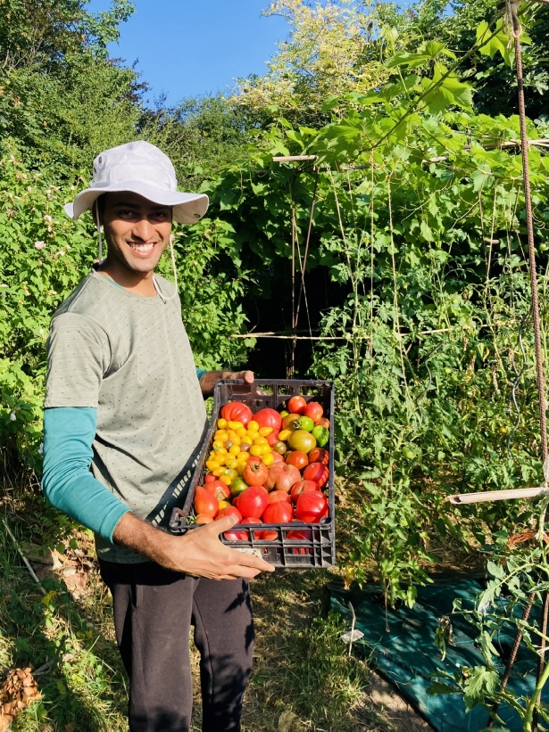 Les jardins partagés en ville, entre pédagogie et bien-être mental
