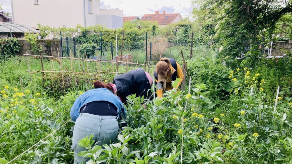 Les jardins partagés en ville, entre pédagogie et bien-être mental